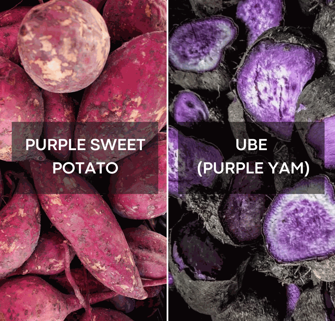 Ube vs Lilla Sødkartoffel