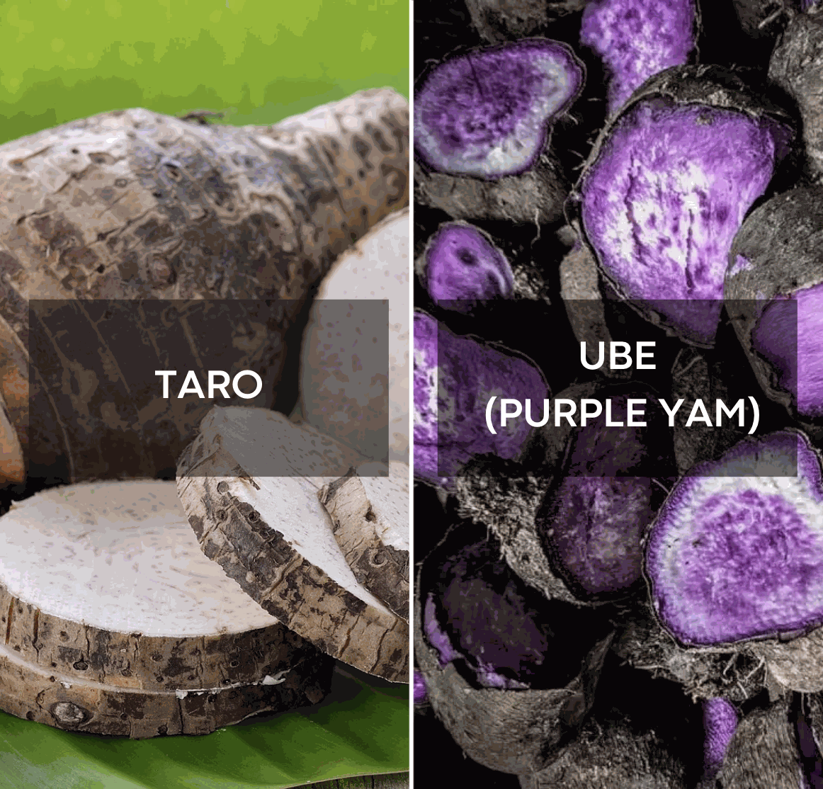 Ube vs Taro: Hvad er den Reelle Forskel?