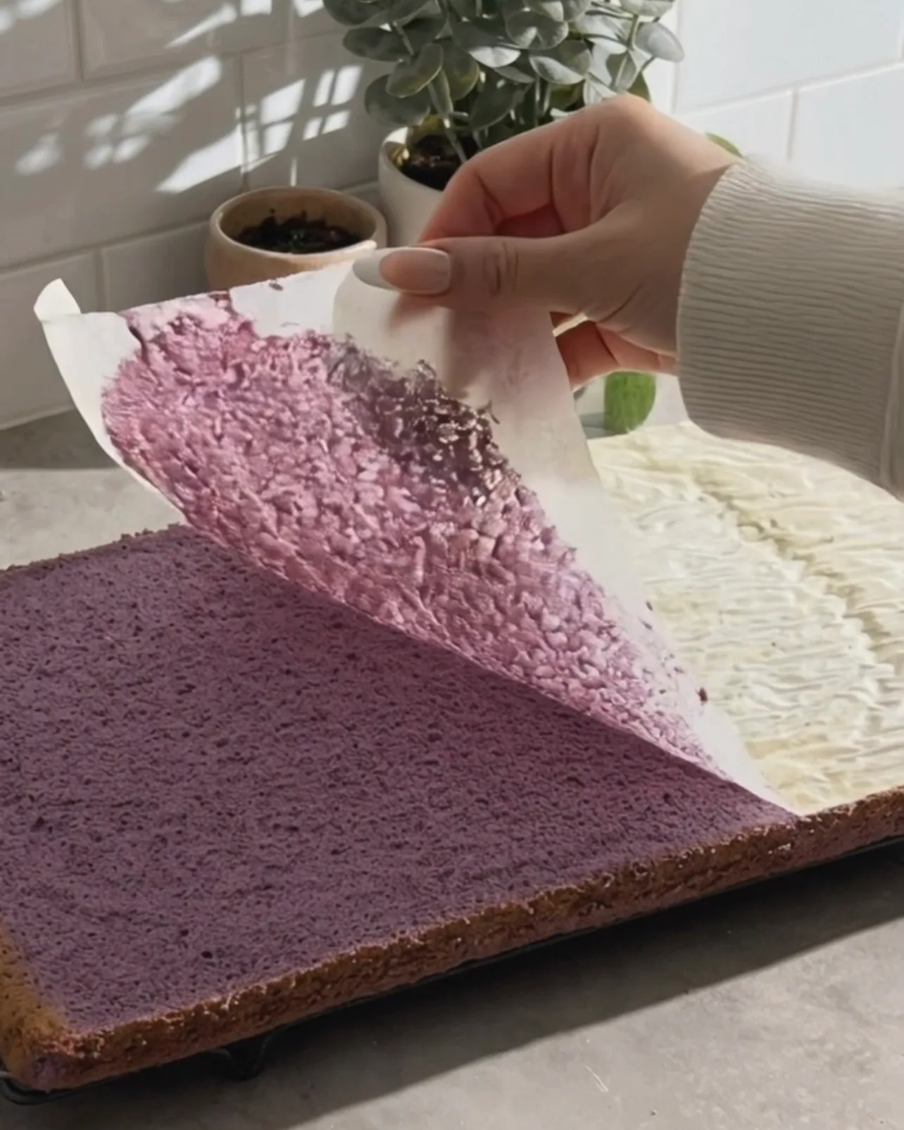 Trækker bagepapir af en friskbagt lilla ube chiffonkageplade af Ube Nolia